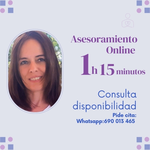 Asesoramiento Online de  1H. y 15min 